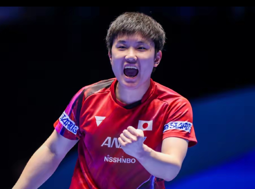 球队的整体 球队的整体