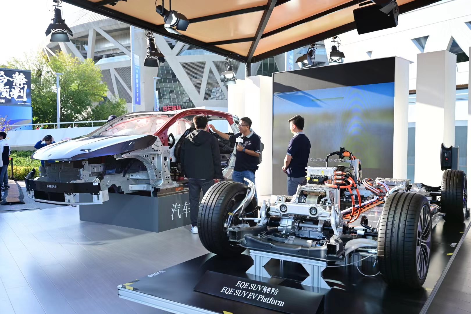 裁判协会的 裁判协会的