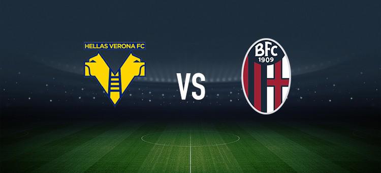 运动员必须 运动员必须