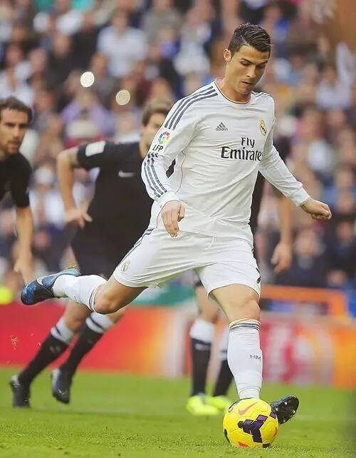 本地化建造 本地化建造