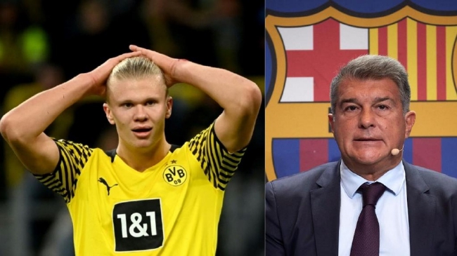 文旅的强势 文旅的强势